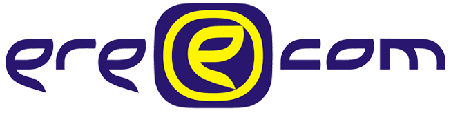 Дизайн логотипа компании «erecom»
