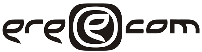 Дизайн логотипа компании «erecom»