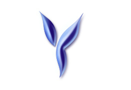 Дизайн логотипа «Ytonmic» — инжиниринговая компания, химия, химические системы, дизайн для химии, химическй промышленности, строительных систем, химические разработки, логотип систем, технологии
